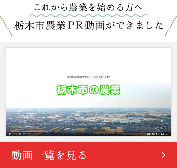 栃木市農業PR動画