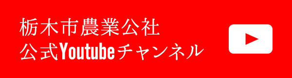 栃木市農業公社公式Youtubeチャンネル